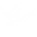 Logo Only_White